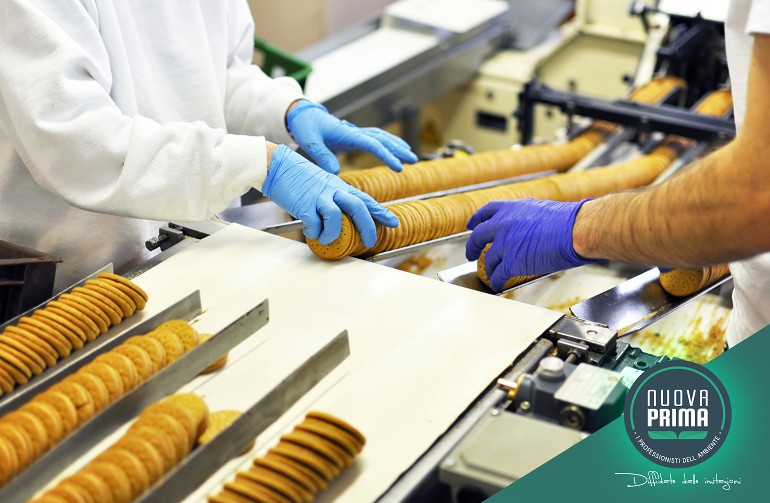 Sicurezza Alimentare: Come Proteggere gli Stabilimenti dalla Minaccia degli Infestanti