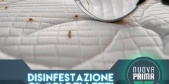 Cimici dei letti in vacanza
