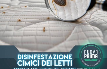 Cimici dei letti in vacanza