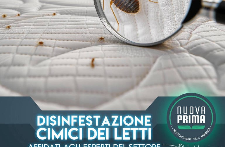Cimici dei letti in vacanza