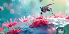 Zanzare e virus in Italia