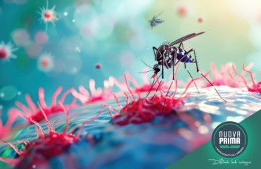 Zanzare e virus in Italia